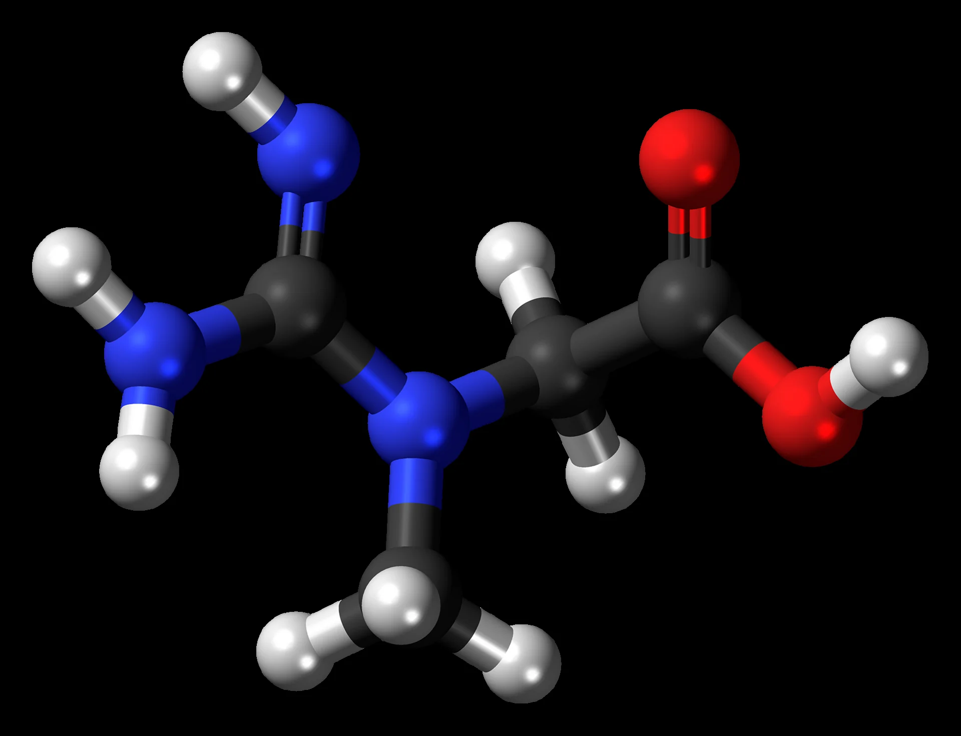 ball-and-stick model of the creatine molecule